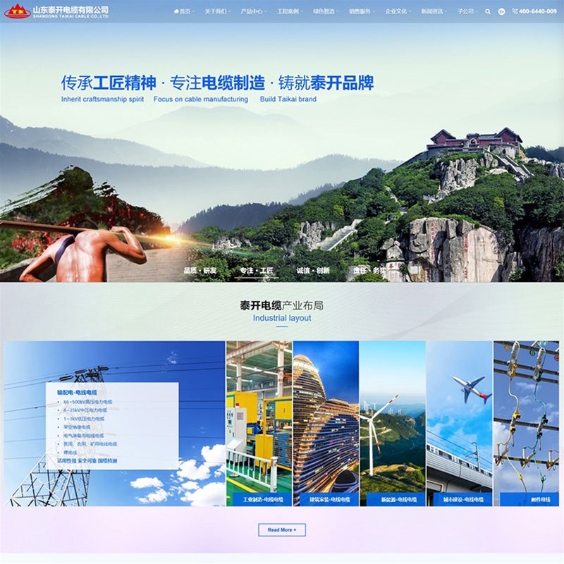 山东泰开电缆有限公司